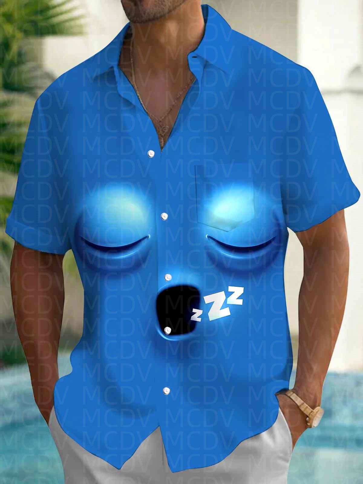 Hawaiiaans overhemd voor heren - Shirt Camp Collar recensie en prijs